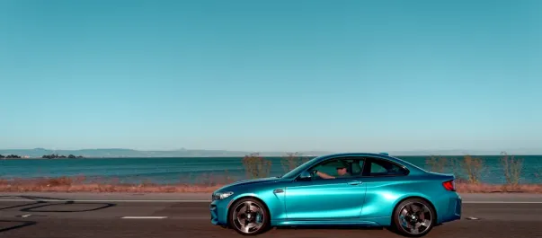 Wolfy Casino Aip Android/iOS